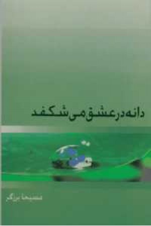 دانه در عشق می شکفد دانه در عشق می شکفد