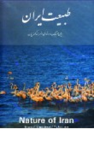 طبیعت ایران کسراییان (روزنه کار) طبیعت ایران کسراییان (روزنه کار)