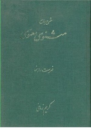 شرح جامع مثنوی معنوی ج2