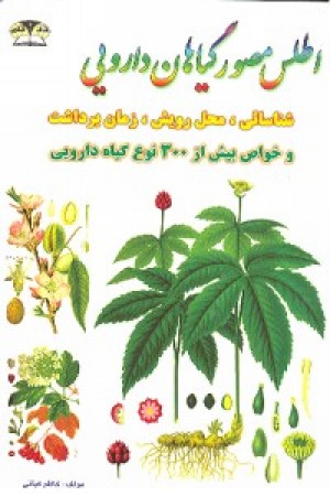 اطلس مصور گیاهان اطلس مصور گیاهان