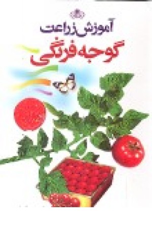 آموزش زراعت گوجه فرنگی