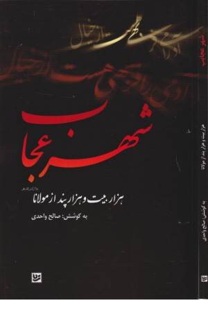 شهر عجایب (هزار بیت و هزار پند از مولانا)