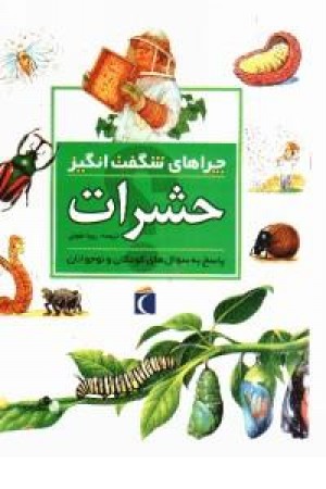 چراهای شگفت انگیز - حشرات(شمیز،محراب قلم) چراهای شگفت انگیز - حشرات(شمیز،محراب قلم)