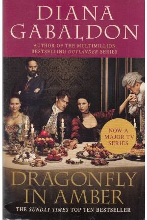 dragonfly in amber dragonfly in amber