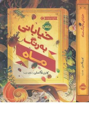 خیابانی به رنگ ماه خیابانی به رنگ ماه