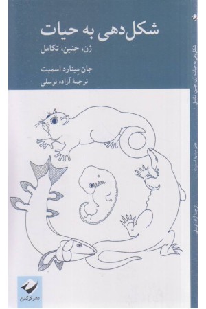 شکل دهی به حیات