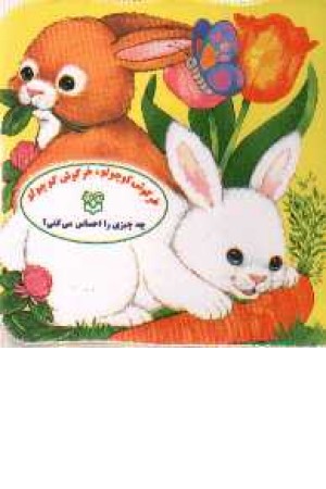 جلد سخت - خرگوش کوچولو چه حس می کنی؟