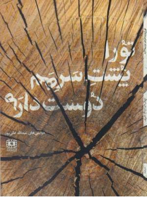 تو را پشت سر هم دوست دارم