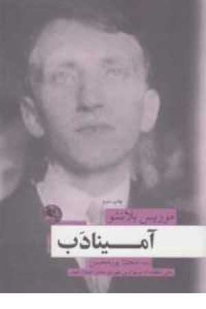 آمینادب