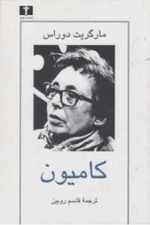 کامیون کامیون