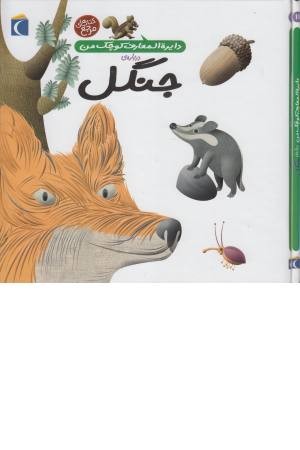دایره المعارف کوچک من 11(درباره جنگل) دایره المعارف کوچک من 11(درباره جنگل)