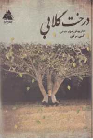 درخت گلابی درخت گلابی