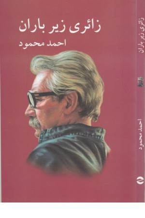 زایری زیر باران