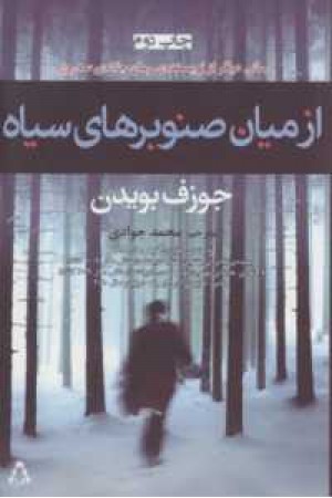 از میان صنوبرهای سیاه