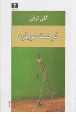 فرصت دوباره