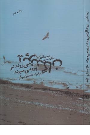 جهان نو (پرندگان می روند در پرو می میرند) جهان نو (پرندگان می روند در پرو می میرند)