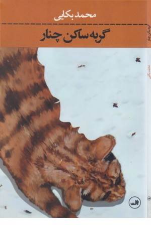 گربه ساکن چنار