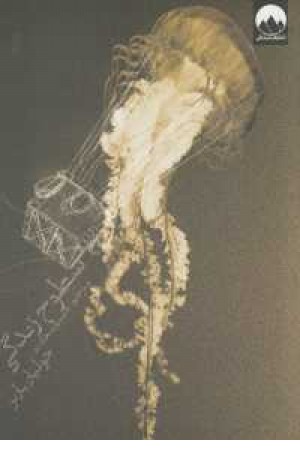 سطوح زندگی سطوح زندگی