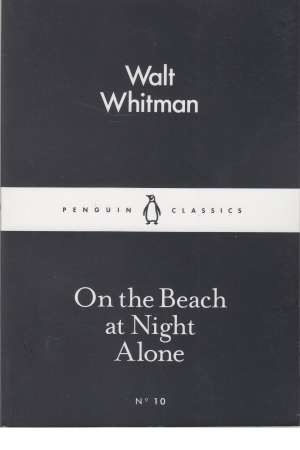 alone on the beach at night alone on the beach at night