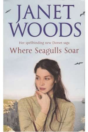 where seagulls soar where seagulls soar