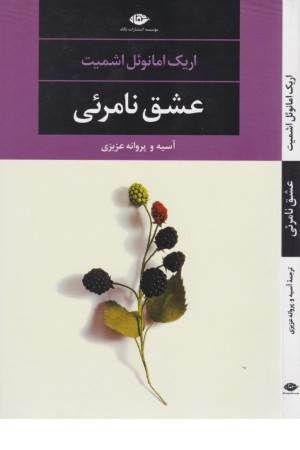 عشق نامریی (ادبیات مدرن جهان،چشم و چراغ 71)