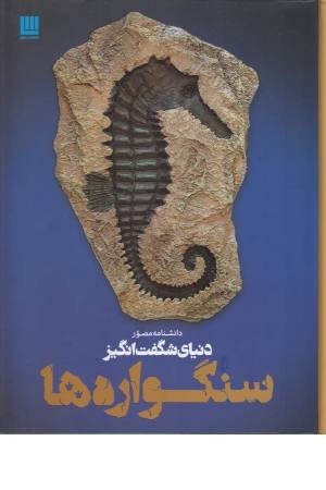 دانشنامه مصور دنیای شگفت انگیز سنگواره ها دانشنامه مصور دنیای شگفت انگیز سنگواره ها