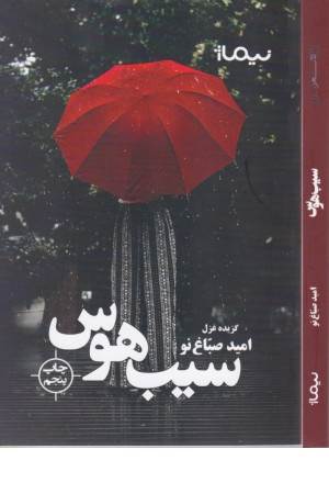 سیب هوس:گزیده غزل (پازل شعر امروز)