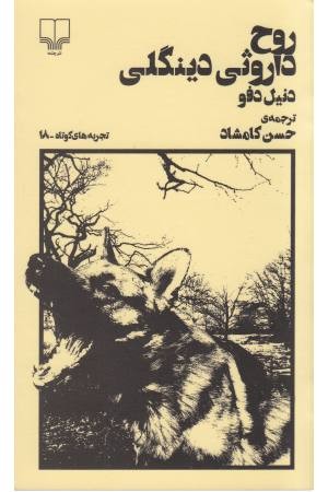 روح داروثی دینگلی (تجربه های کوتاه 18) روح داروثی دینگلی (تجربه های کوتاه 18)