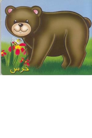 حیوانات را بشناسیم (خرس) حیوانات را بشناسیم (خرس)