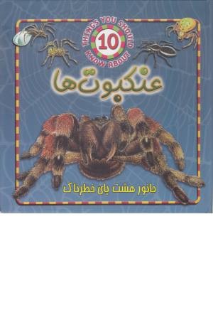 عنکبوت ها (جانور هشت پای خطرناک) عنکبوت ها (جانور هشت پای خطرناک)