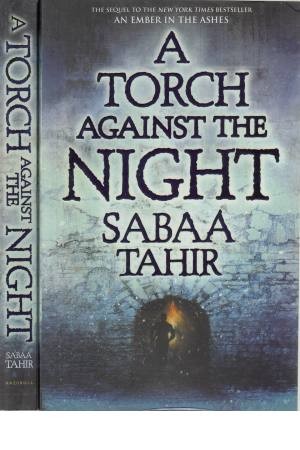 a torch against the night