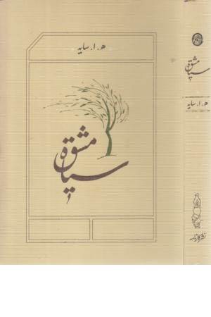 سیاه مشق