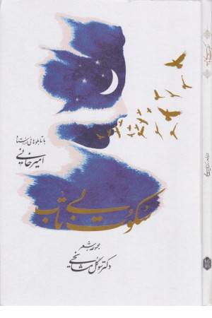 سکوت بی تاب (مجموعه شعر)
