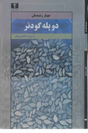 دو پله گودتر و سیزده داستان دیگر دو پله گودتر و سیزده داستان دیگر