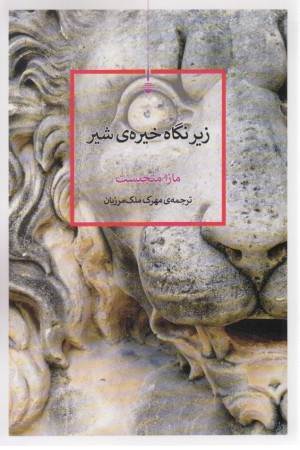 زیر نگاه خیره ی شیر