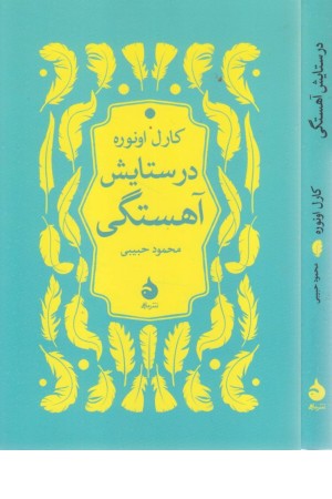 در ستایش آهستگی