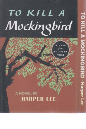 to kill a mockingbird to kill a mockingbird