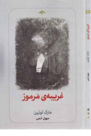 غریبه ی مرموز