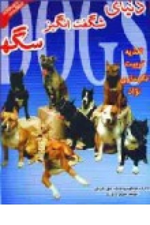 دنیای شگفت انگیزسگهاگلاسه (جاجرمی )