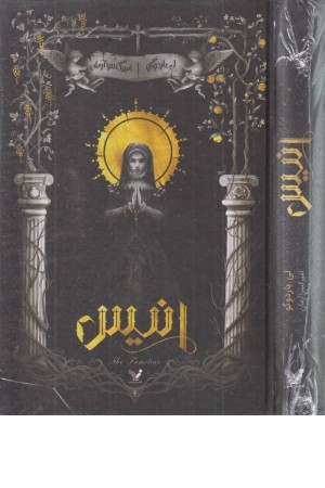 انیس انیس
