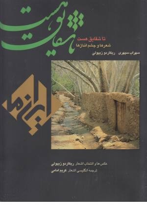تا شقایق هست تا شقایق هست