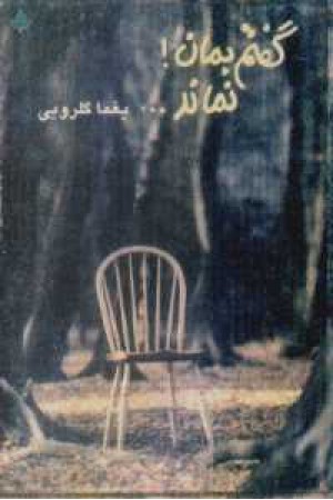 گفتم بمان نماندی