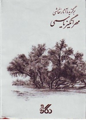 زیر درختچه یاسمن