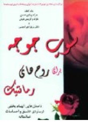 سوپ جوجه برای روح های رمانتیک (سایه گستر) سوپ جوجه برای روح های رمانتیک (سایه گستر)