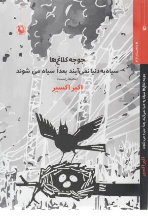جوجه کلاغ ها سیاه به دنیا نمی آیند... جوجه کلاغ ها سیاه به دنیا نمی آیند...