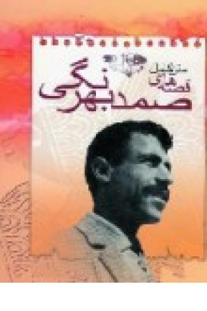 قصه های صمد بهرنگی2ج (دنیای کتاب) باقاب